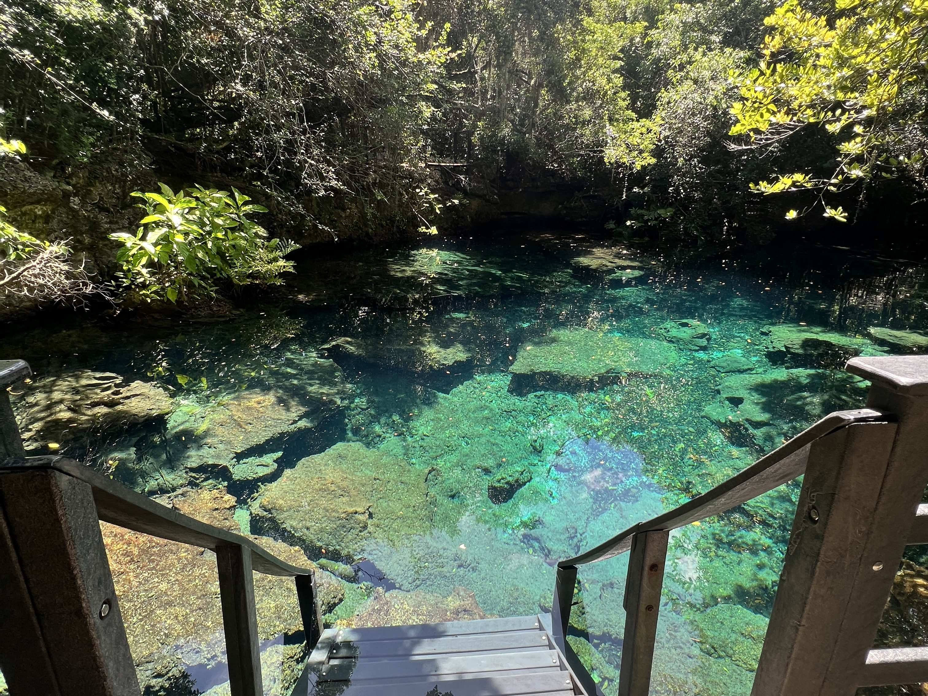 The Inriri Lagoon in Punta Cana, Dominican Republic.